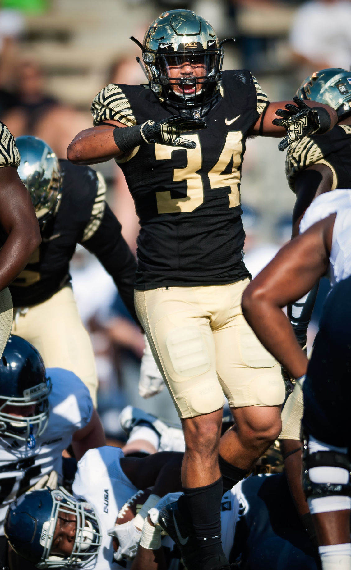 Wake Forest Rice Football